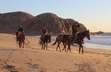 Horseback Riding Experience in Rancho San Cristobal