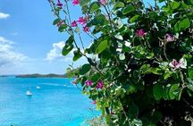 Antigua VIP Tours - Platinum Group Tour 