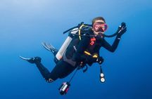 Two Dives for certified divers in Fujairah
