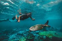 Two Dives for certified divers in Fujairah