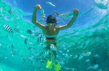From Dubai: Snorkeling trip in Fujairah
