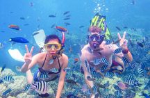 From Dubai: Discovery Scuba Diving & Snorkeling trip in Fujairah
