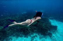 From Dubai: Discovery Scuba Diving & Snorkeling trip in Fujairah