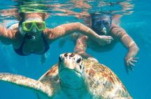 From Dubai: Snorkeling trip in Fujairah