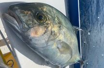 4-Hour Light Tackle Bottom Fishing in Lahaina