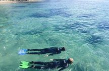 Port Phillip Bay Snorkeling with Sea Dragons
