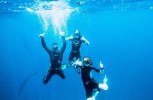 Port Phillip Bay Snorkeling with Sea Dragons