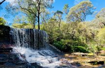 Sydney: Luxury Blue Mountains Adventure as a Small Group Day Tour