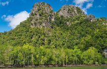 A Mangrove River Cruise on Langkawi