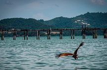 A Mangrove River Cruise on Langkawi