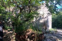 Discovery Tour and Treasure Hunt ( North and Middle Caicos)