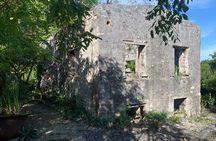Discovery Tour and Treasure Hunt ( North and Middle Caicos)