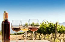 Private Kakheti Wine Tour with Tastings, Bodbe & Sighnaghi