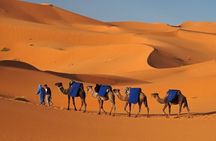 MERZOUGA DESERT TREK - 3 DAYS From Marrakech