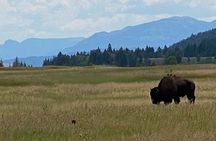2-Person Grand Teton All-Day Private Tour