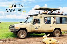 3 Days Big 5 Tour and Culture in Tanzania