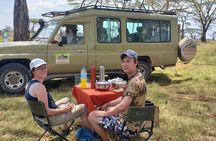 4 DayTanzania Great Wildebeest Migration Tour inside Serengeti