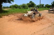 adrenaline in buggies for half-day groups