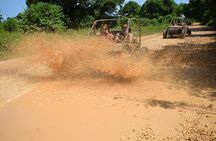 adrenaline in buggies for half-day groups