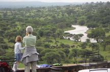 3 Days Private Midrange Lodge Safari with Kilimanjaro Day Hike