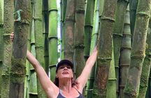 Maui Magical Waterfall and Jungle Tour: Road to Hana
