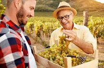 Exclusive Napa Valley Wine Tour