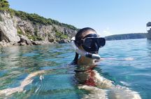 Rent a luxury speed boat for great fun on this Elaphiti Islands tour 