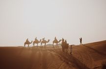 3-Day Private Desert Tour from Fes to Marrakech 