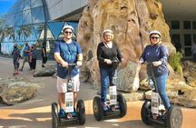 Saint Petersburg Historic Segway Tour