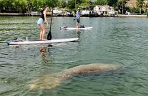 Saint Petersburg Paddle Board Tour 