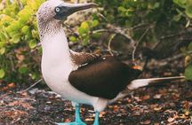 Full-day Adventure Tour at Kicker Rock (León Dormido)