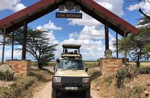 4 Days Tanzania Safari - Tarangire, serengeti, Ngorongoro