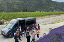 Queenstown VIP Wine Drop and Hop Tour