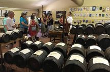 Lunch and Tasting of Traditional Balsamic Vinegar of Modena
