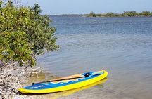 Coastal Wildlife Stand-Up Paddle Adventure