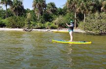 Coastal Wildlife Stand-Up Paddle Adventure