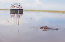 Everglades Admission Ticket with Airboat Ride and Wildlife Show