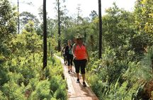 Central Florida Guided Nature Walk and Private Yoga Class