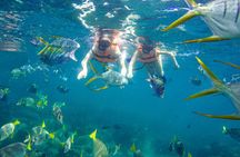 Half Day Cabo Snorkel Adventure with Lunch and Open Bar