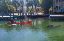 Siesta Key Kayak Tour 