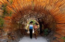Photo InstaTour in Tulum