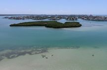 Glass Bottom Kayak Mangrove & Sandbar Adventure in St. Pete Beach