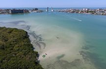 Glass Bottom Kayak Mangrove & Sandbar Adventure in St. Pete Beach