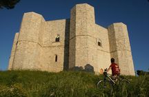 Small Group Bike Tour in the Murgia of Castel del Monte