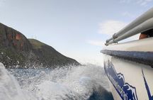 Half-Day Small-Group Boat Safari in Crete