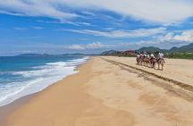 ATV Tour, Camel Ride, Tequila Tasting and Mexican Buffet Lunch