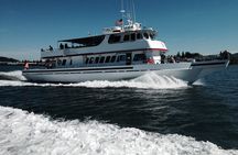 Whale Watching from Friday Harbor