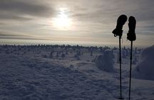 Riisitunturi National Park Snowshoeing Adventure