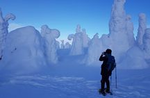 Riisitunturi National Park Snowshoeing Adventure