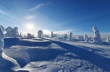 Riisitunturi National Park Snowshoeing Adventure